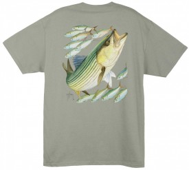 Guy Harvey Striped Bass  Back-Print Tee w/ Pocket in Stonewashed Green or White