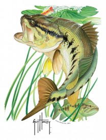 Guy Harvey Largemouth Bass Window Decal
